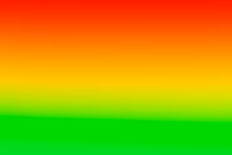 Rasta