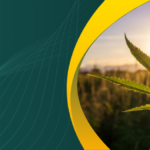 Fascinating Truth of Hemp Plant